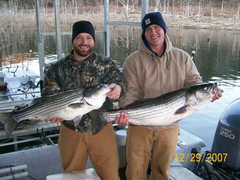 Nice Striped Bass