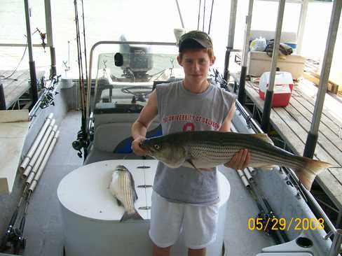 Nice Striped Bass