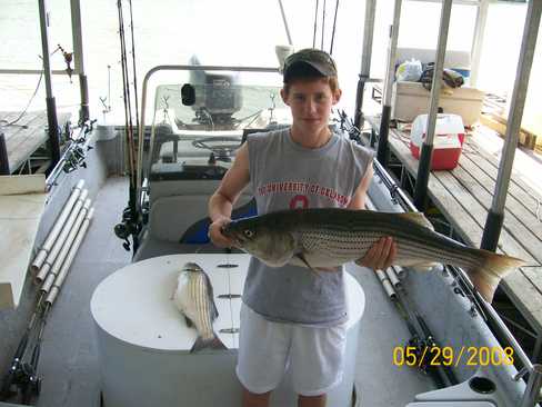 Nice Striped Bass