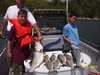 (04/18/2004) - Nice Striped Bass
