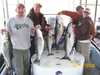 (03/11/2008) - Nice Striped Bass