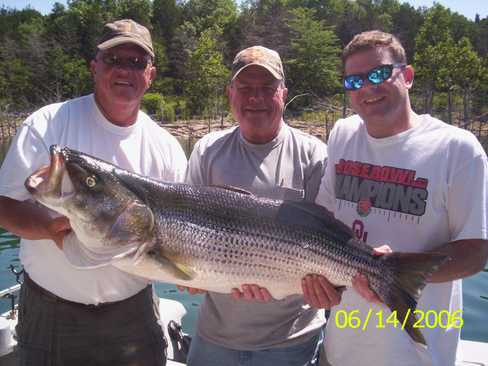 Nice Striped Bass