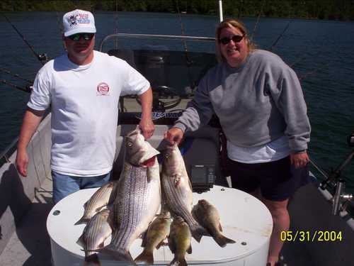 Nice Striped Bass