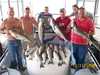 (10/11/2008) - Nice Striped Bass