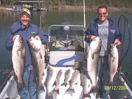 Nice Striped Bass