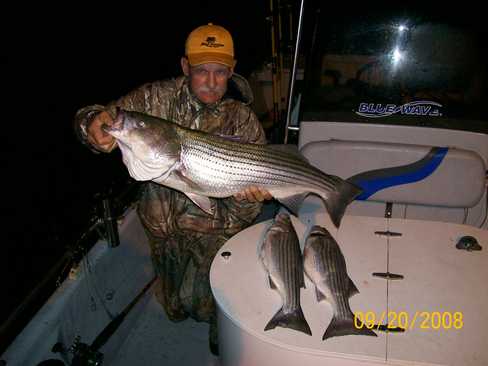 Nice Striped Bass