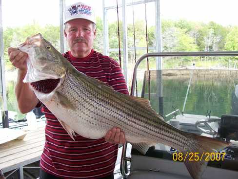 Nice Striped Bass