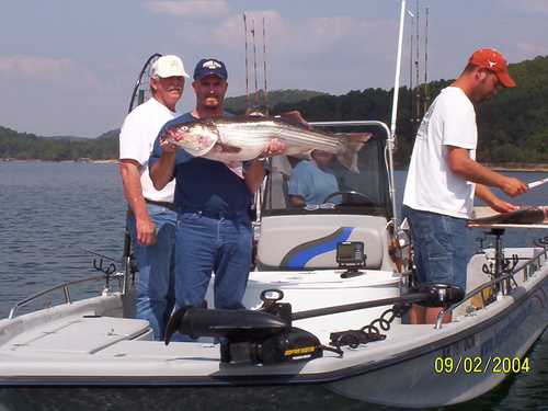 Nice Striped Bass