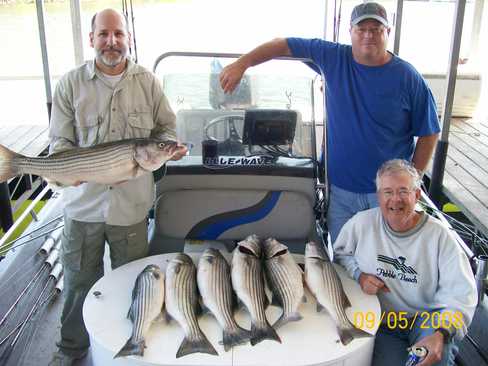 Nice Striped Bass