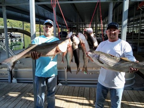 Nice Striped Bass