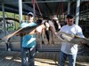 (09/24/2020) - Nice Striped Bass