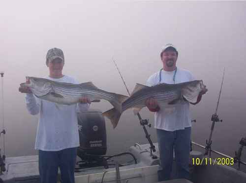 These could be your Stripers