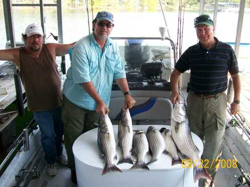 Nice Striped Bass