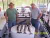 (06/13/2006) - Nice Striped Bass