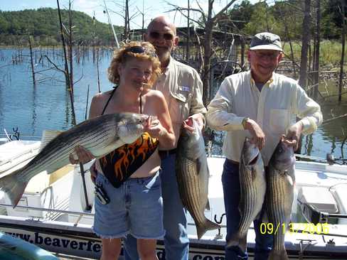 Nice Striped Bass