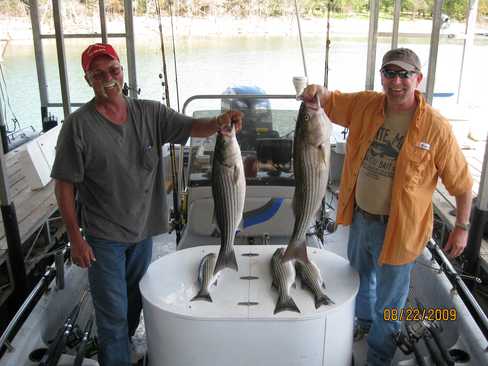 Nice Striped Bass