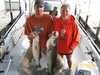 (10/11/2008) - Nice Striped Bass
