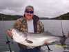 (07/30/2004) - Nice Striped Bass
