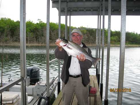 Nice Striped Bass