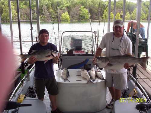 Nice Striped Bass