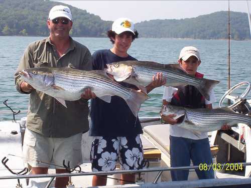 Nice Striped Bass