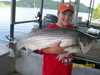 (07/06/2008) - Nice Striped Bass