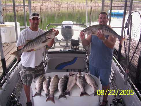 Nice Striped Bass