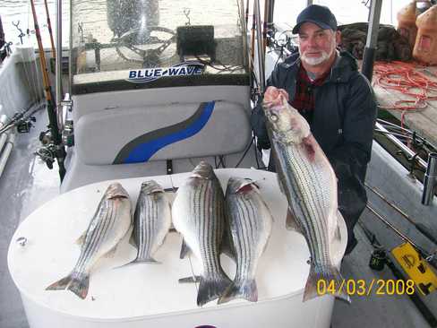 Nice Striped Bass