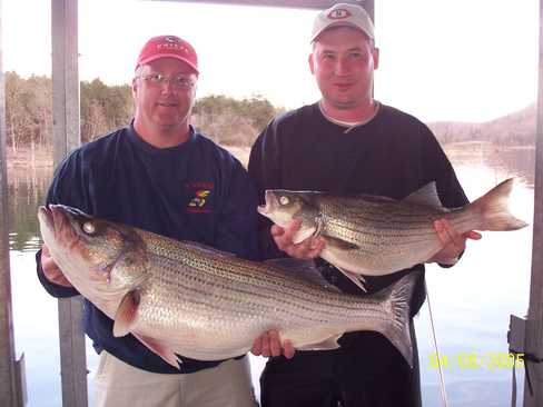 Nice Striped Bass