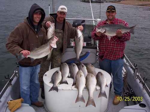 Nice Striped Bass