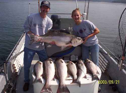 These could be your Stripers