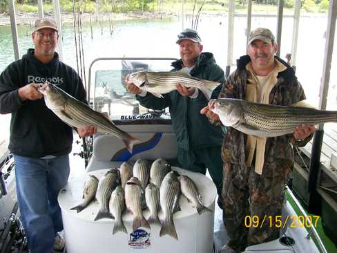 Nice Striped Bass