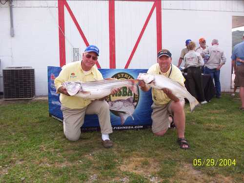 Striper fishing at it's best