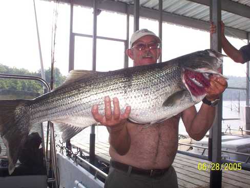 Nice Striped Bass