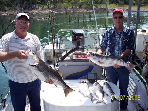 Nice Striped Bass