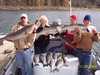 (11/26/2004) - Limit of Striped Bass