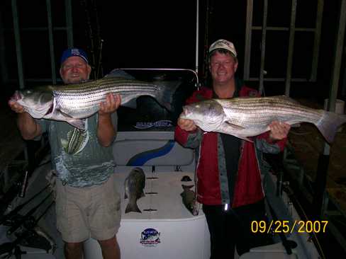 Nice Striped Bass