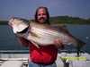 (07/09/2005) - Nice Striped Bass