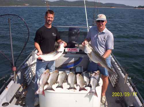 Nice Striped Bass