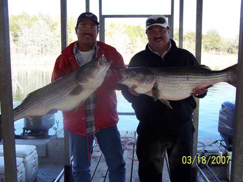 Nice Striped Bass