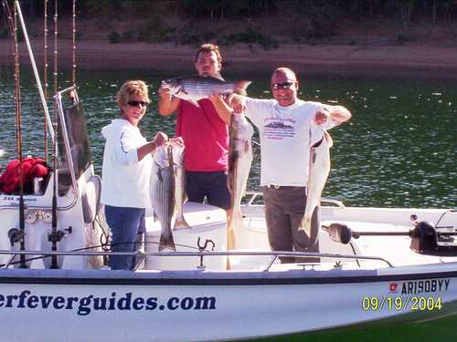 Nice Striped Bass