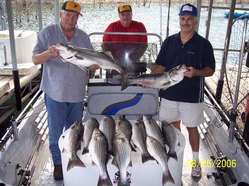 Nice Striped Bass