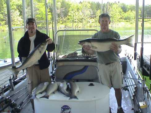 Nice Striped Bass