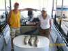 (05/18/2008) - Nice Striped Bass