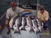 (05/24/2004) - Nice mess of Stripers