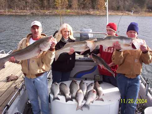 Limit of Striped Bass