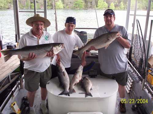 Nice Striped Bass