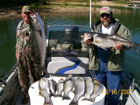 Nice Striped Bass