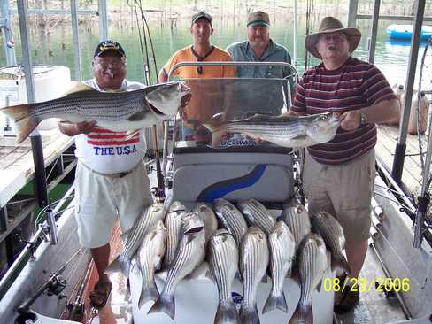 Nice Striped Bass