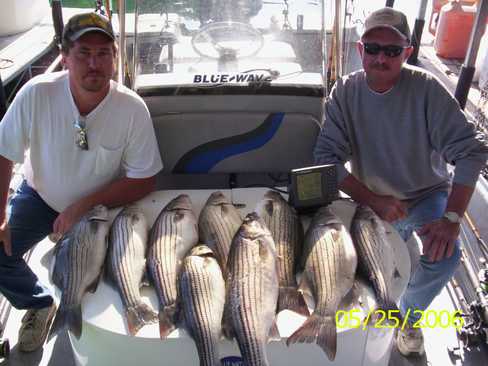 Nice Striped Bass